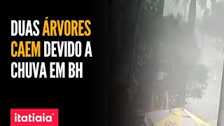 CHUVA FORTE DERRUBA ÁRVORES NO CENTRO DE BH NA TARDE DESTA SEGUNDA (27)