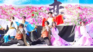 [4K] 京炎そでふれ！文舞蘭　こいや祭り 2023 土曜日 (中央)