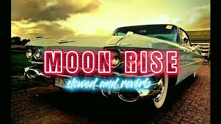 Moon Rise ( slowed + reverb ) | Guru Randhawa, Shehnaaz Gill | Man of the moon | PERFECTLY SLOWED