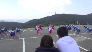 飃～FREEDOM～[M.E.T.E.O.R.（ミーティア）]20150426_第29回よさこいソーランフェスティバル in 朝熊[4K]