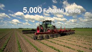 What is one hectare?