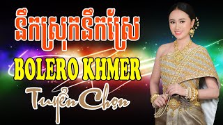 នឹកស្រុកនឹកស្រែ - Nhạc Khmer Bolero Chọn Lọc | Nhạc Khmer Hay Nhất 2023