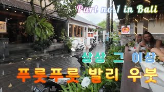 🇮🇩 [2024 Feb] 발리 우붓/ 파드마 리조트/ 전통시장/  Bali