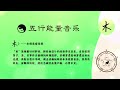 五行能量音乐：木｜八字补木能量，木主理免疫系统｜五行音疗木音