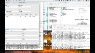 Desktop App - TKinter CSV #python #programming
