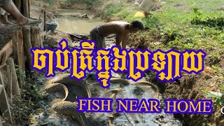 Catch fish near home Battambang Town  / ត្រីឡើង តាមទឹកភ្លាម ជាប់នៅក្នុងប្រឡាយ ក្បែរ ផ្ទះ EP1