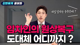 계약만료 후 임차인의 원상복구 의무는 도대체 어디까지 ?