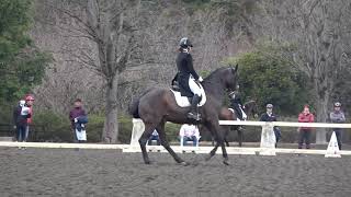 第56回東都学生馬術大会　学生賞典馬場馬術競技　1年　重藤　エディット彬　カロ・ロビン