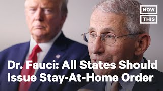 Dr. Anthony Fauci Says All States Should be Under a Stay-at-Home Order | NowThis
