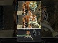 Made with Lockdown 3