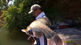 IFISH How to troll for Murray Cod!