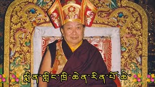 Minling Trichen Rinpoche 💐💐🙏 ( སྨིན་གླིང་ཁྲི་ཆེན་རིན་པོ་ཆེ་ )