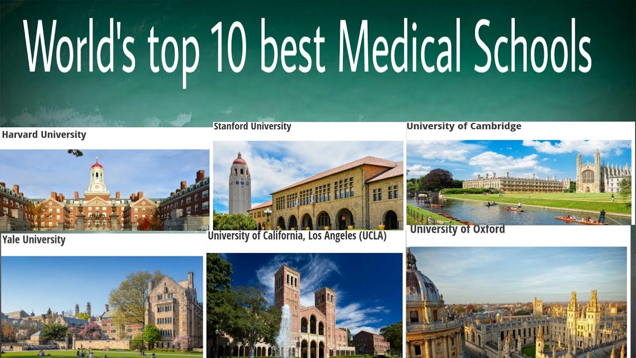 World's Top 10 Medical Schools | Medical Universities | Medical College ...