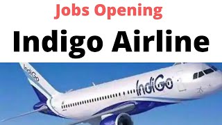 Jobs Opening in Indigo Airline