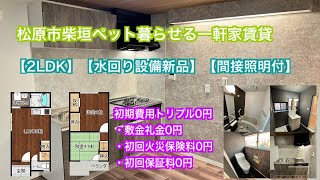 松原市柴垣　室内新築物件そっくりな【ペット暮らせる初期費用トリプル０円キャンペーン中】