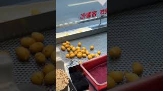 三重排隊名店「薯叔地瓜球」，文化北路排隊地瓜球推薦 (Sweet Potato Balls)