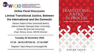Panel Discussion: Liminal Transitional Justice, Between the International and the Domestic