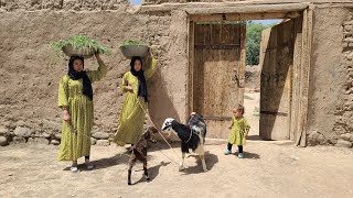 Organic Village life | Organic Life in the Mountains | Village Life in Afghanistan