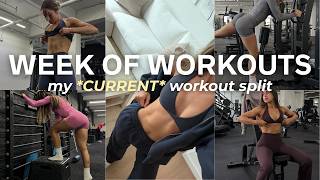 Week Of Workouts My Current Workout Split Everyday Gym Routine