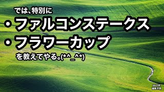 ファルコンステークス2023・フラワーカップ2023 [競馬予想]