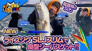 【ルアー合衆国プラス】鳥羽沖のSLJ！NEWライズジグSLJスリムで良型シーバスゲット‼︎