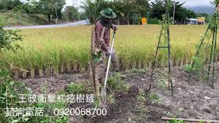 王政衝擊式挖樹鏟