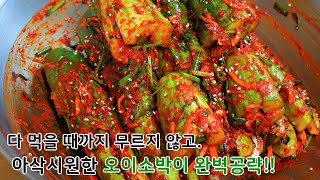 아삭아삭한 오이소박이 절대~ 실패없이 맛있게 담그는법, 무르지 않아 더 좋아요!