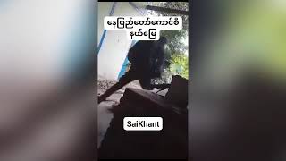 သုးက့(၂)ခးတပျုၣ်ပယီၤ