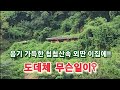 [납량특집1] 음기 가득한 첩첩산속 외딴 이집에 도대체 무슨일이?