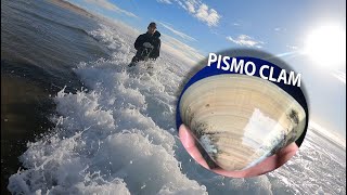 PISMO CLAMS, How To Harvest \u0026 Purge Your Clams To Cook Them