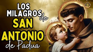 LOS MILAGROS MÁS ASOMBROSOS DE SAN ANTONIO DE PADUA, TE IMPACTARÁN. Santo del Amor #sanantonio