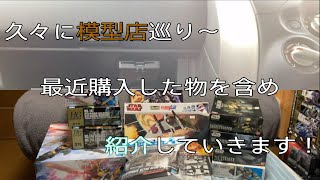 【雑談動画】久々に模型店巡り〜ガンプラ再販などで購入した物など含めて紹介していきます！