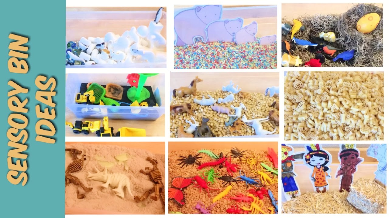 Sensory Bin Ideas - YouTube