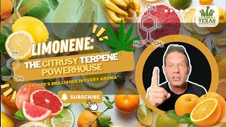 Limonene: A Citrusy Terpene Powerhouse | Nature's Brilliance in Every Aroma