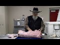 can you eat a javelina how to remove the musk sack from a javelina smoking wild game