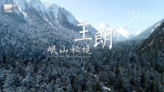 《岷山秘境-王朗》| 解码野生大熊猫最后的庇护所【神秘蜀韵 百部川扬】