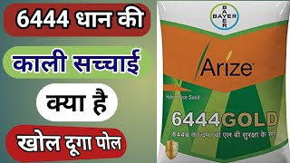 6444 धान की नर्सरी डालने से पहले यह काम जरूर करे ? 6444 seeds Paddy