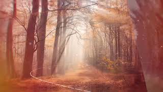 Relaxing video/Music For Meditation. Video For Yoga. TRANS Relax. Fog and Wind Sounds.