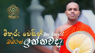 මිතුරු වෙසින් එන රකුසන් ඔබටත් ඉන්නවද?   |   SIHILABA (සිහිල'ඹ)