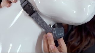 How to Fit the Premier Pet Rechargeable Bark Collar