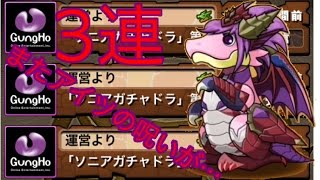 【パズドラ】無料のフェス限ヒロインガチャ3連引いたけど案の定酷かった