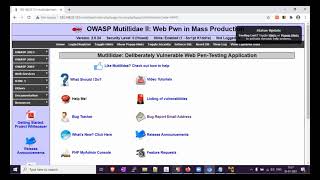 Testing for HTTP verb tampering // Evaluating Input Validation Checks