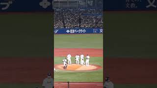 【日本シリーズ 第7戦 杉本3点タイムリー 塩見後逸3失点】 2022/10/30(日) サイスニード センターフライ（エラー）vs 杉本裕太郎(オリックス・バファローズ) #shorts