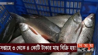 সপ্তাহে ৩ থেকে ৪ কোটি টাকার মাছ বিক্রি হয়! | Fish MArket | Somoy TV