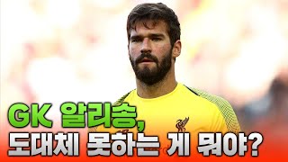 세계 최고 무결점 골기퍼 알리송 베커