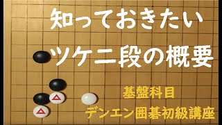 【ツケ二段の概要】デンエン囲碁初級講座　特別講座　恩田烈彦