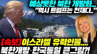 [속보]이스라엘 유력인물....북한개방·한국통일 큰그림?! 예상못한 북한 개방화...“역시 트럼프는 천재다..”