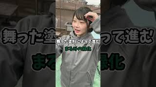 素人女子がホンダバモスを全塗装してみた【ダイジェスト】#Shorts