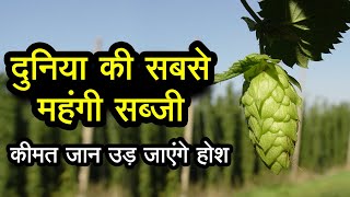 दुनिया की सबसे महंगी सब्जी, कीमत और गुण जानकर चौंक जाएंगे World's most expensive vegetable