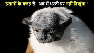 जानवरों की ये 10 प्रजातियाँ विलुप्त होने वाली है | 10 ANIMALS THAT WILL BE EXTINCT SOON